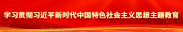 欧美操逼后入浪潮后入好学习贯彻习近平新时代中国特色社会主义思想主题教育